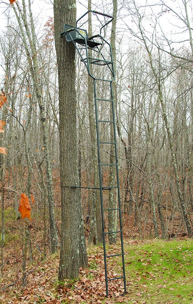Stand and Blind Hunting