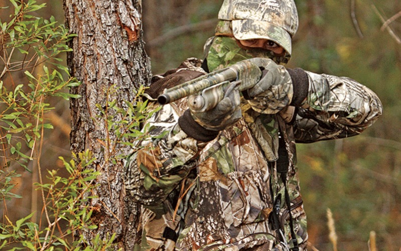 Types of Hunting: Game, Methods, Weapons, and Purposes